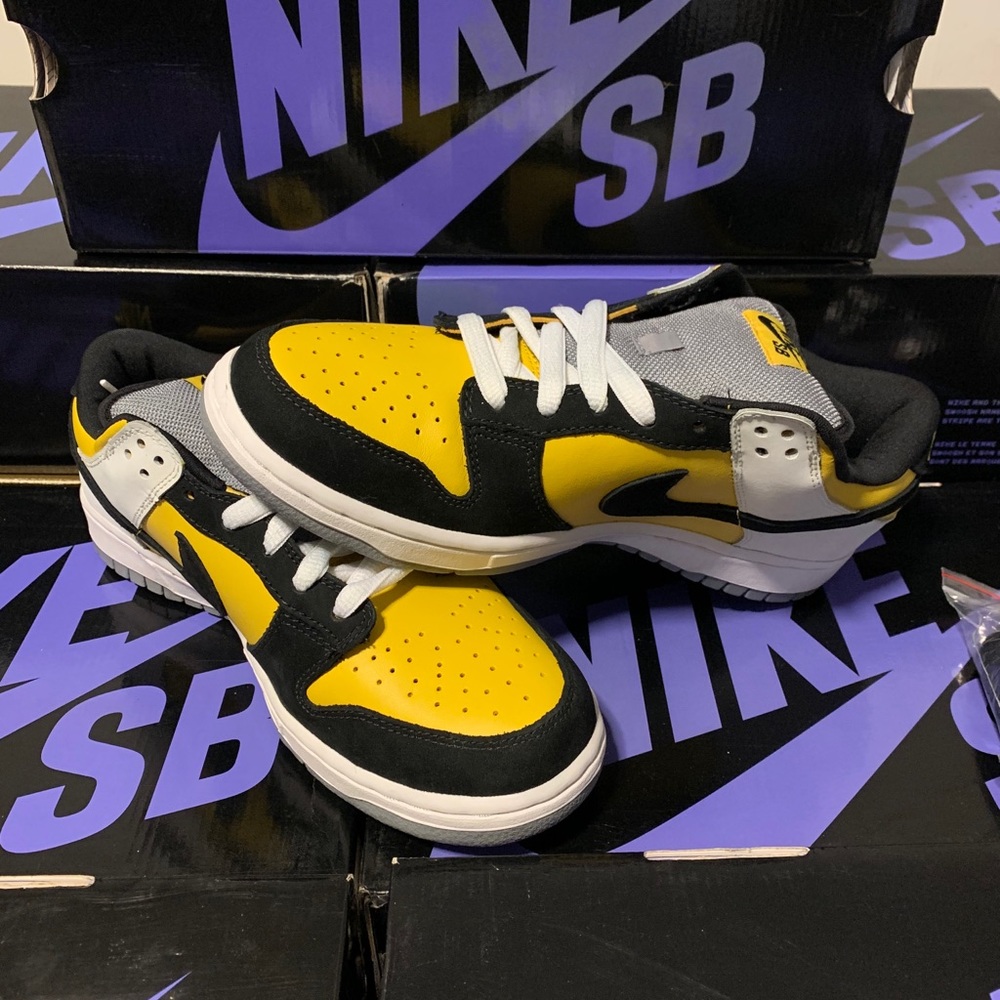 Nike SB Dunk Low BIC Sz 9.5 DS SUPER RARE 2006 🔥